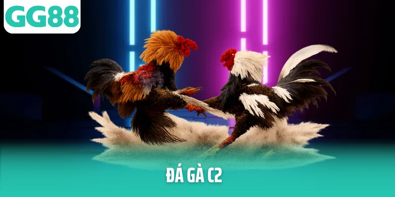 da ga c2 thumb