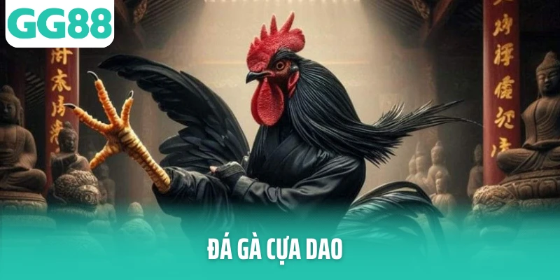 da ga cua dao thumb