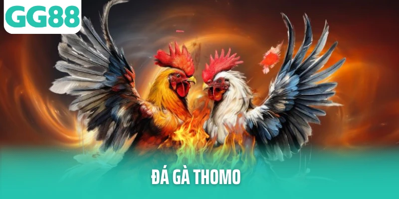 da ga thomo thumb