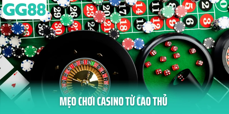 meo choi casino tu cao thu avatar