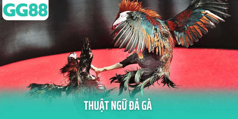 thuat ngu da ga avatar