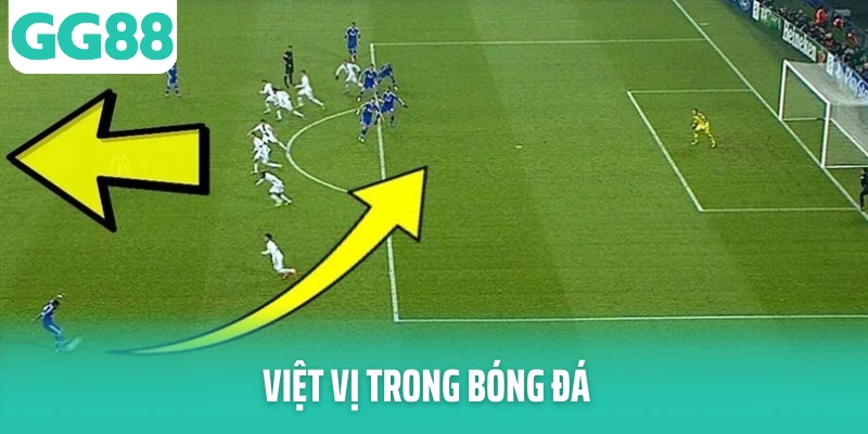 viet vi trong bong da thumb