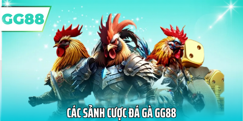 Các sảnh cược đá gà gg88