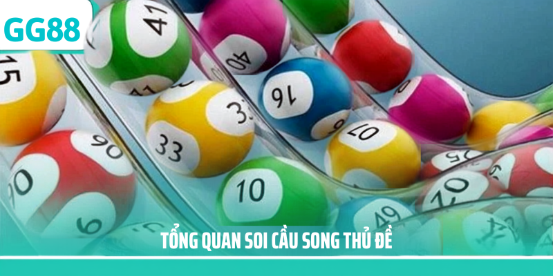 Tổng quan soi-cau-song-thu-de