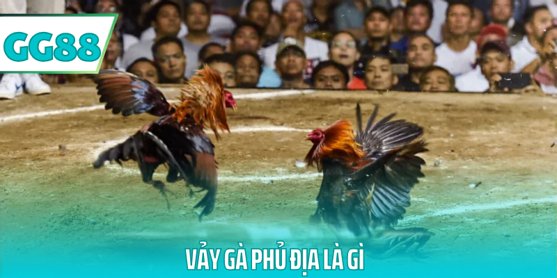Vảy gà phủ địa là gì